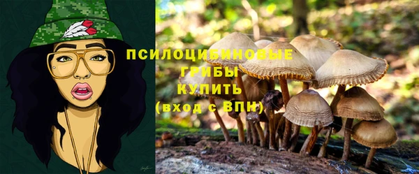 гашишное масло Белокуриха
