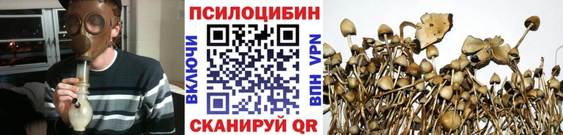 наркотики  blacksprut ссылка  Галлюциногенные грибы мицелий  Верея 